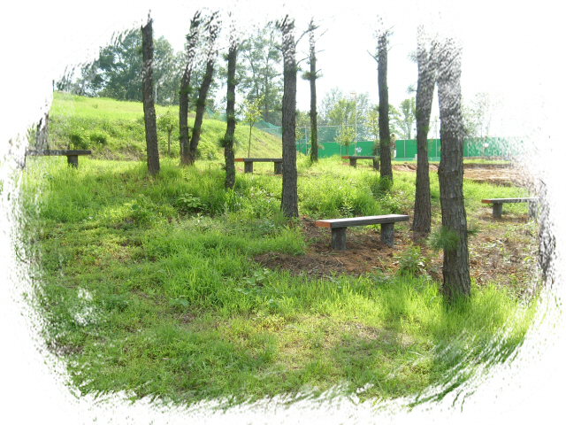 꽃화단 조성장소.JPG