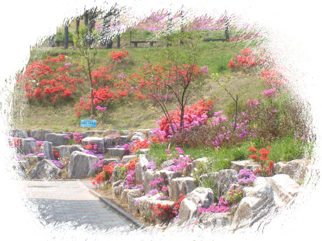 꽃동산 조성사진.JPG