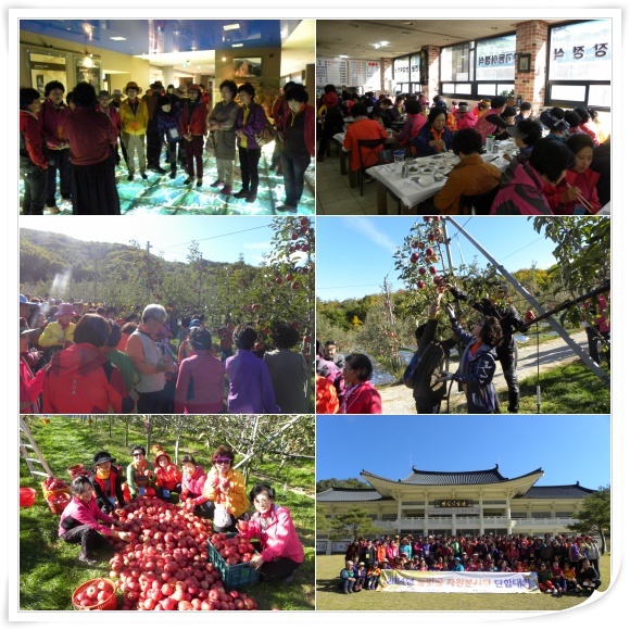 단합대회 사진(홈페이지).jpg